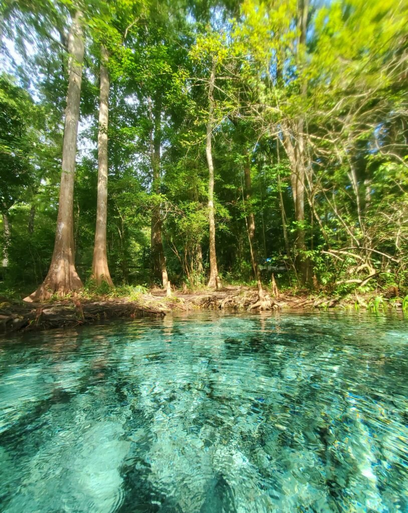 The crystal clear deep blue waters of Kali Biru river in the jungles of Waigeo, Raja Ampat.